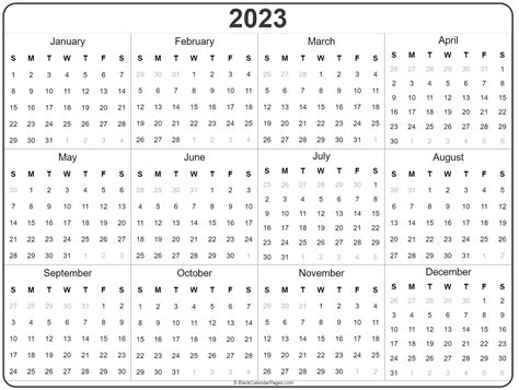 地支卯2023